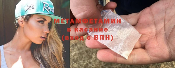индика Богородск