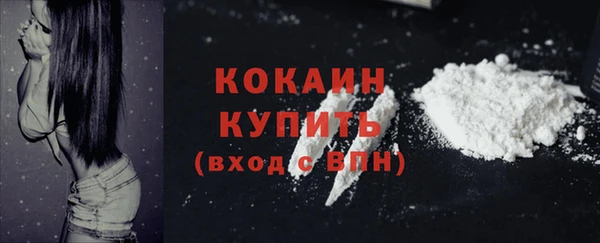 спайс Мегион