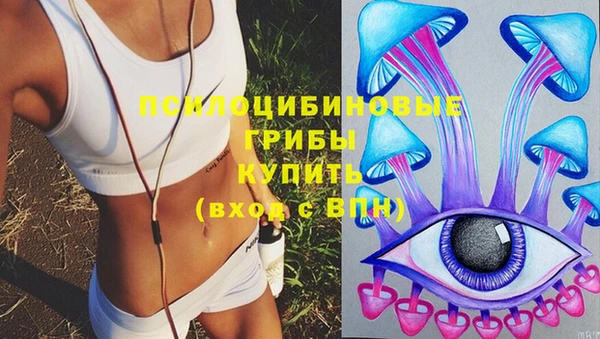 спайс Мегион