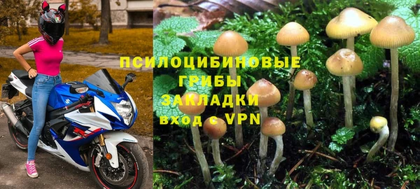 спайс Мегион