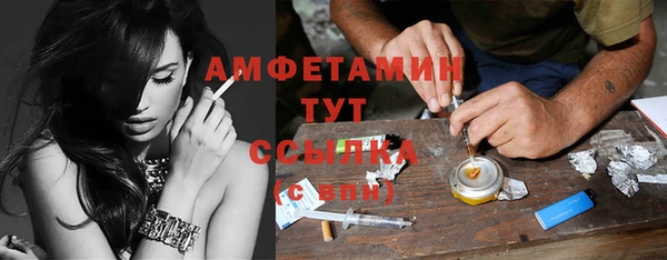 шишки Вязники